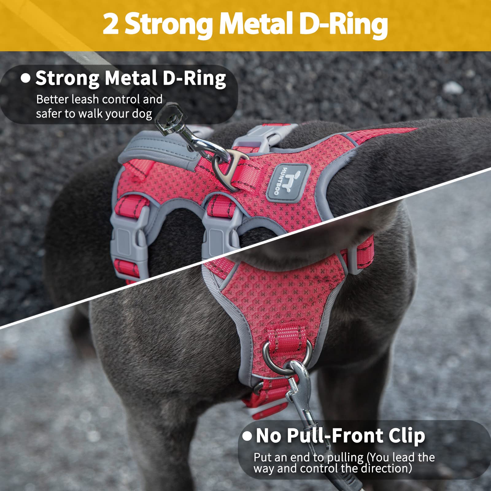 Huntboo front D-ring leash clip enables gentle steering.
