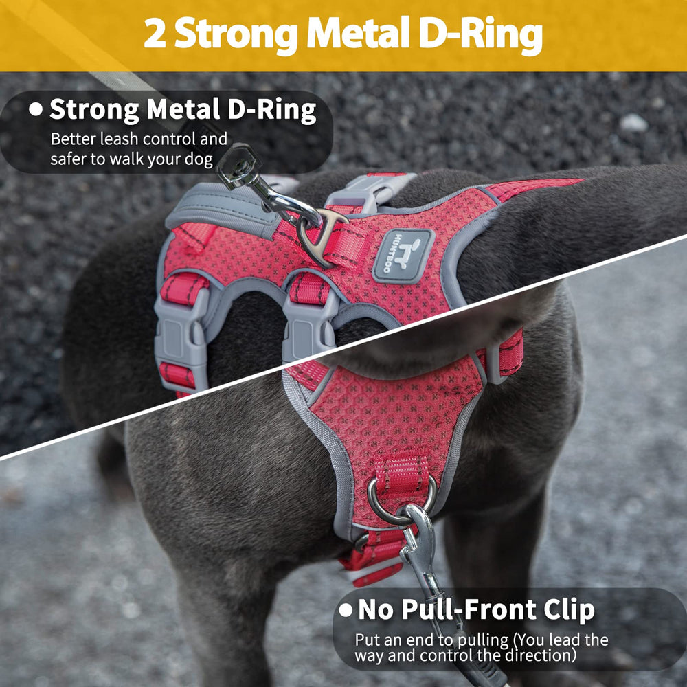 Huntboo front D-ring leash clip enables gentle steering.