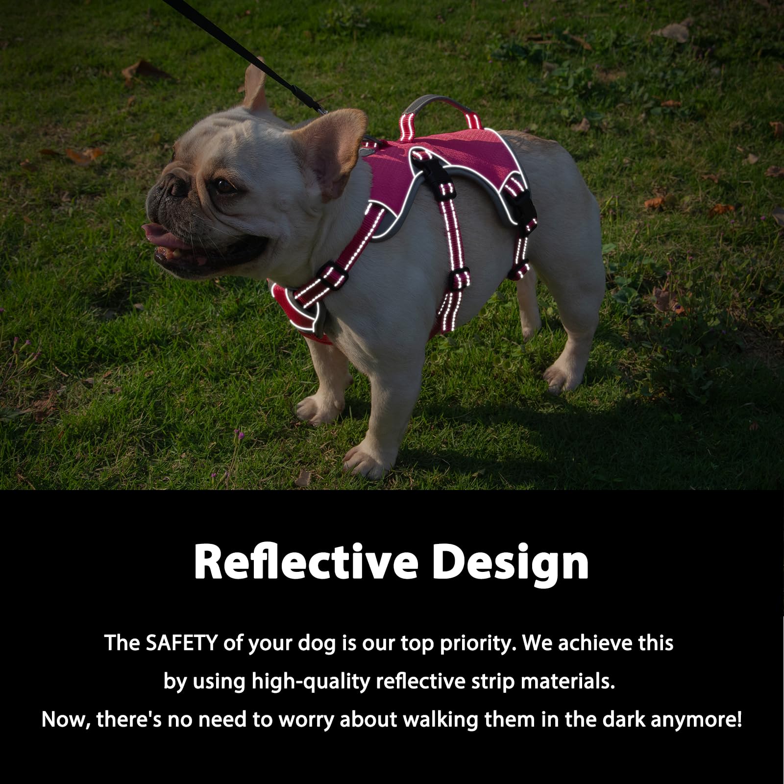 Huntboo harness with handle provides easy lifting and assist