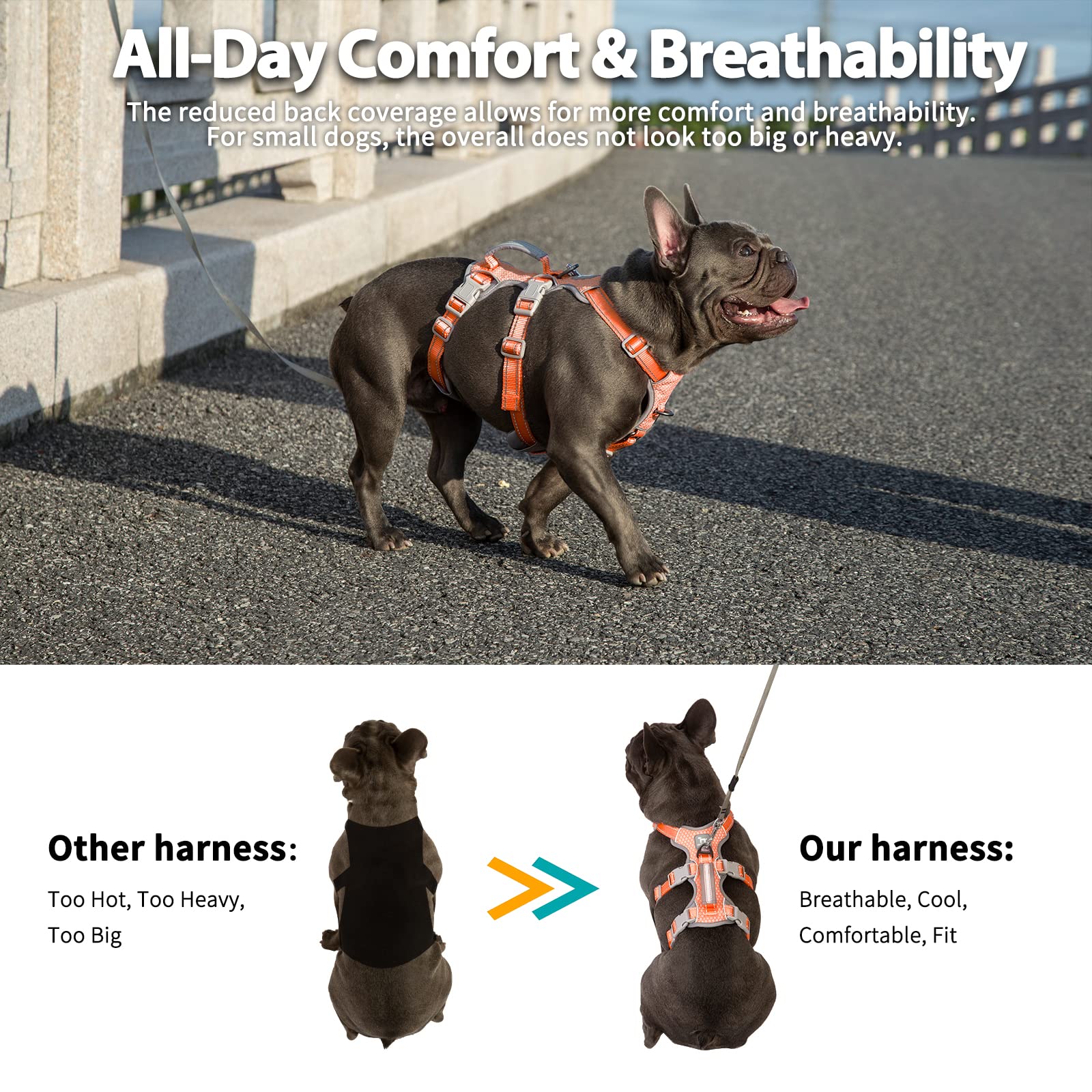Huntboo No Escape front and back D-ring clips provide gentle, controlled leash guidance