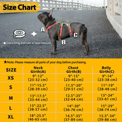 Huntboo no-pull harness at night with reflective straps for visibility during walks.