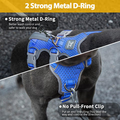 Huntboo padded handle offers secure grip for quick assistance and obstacle navigation.