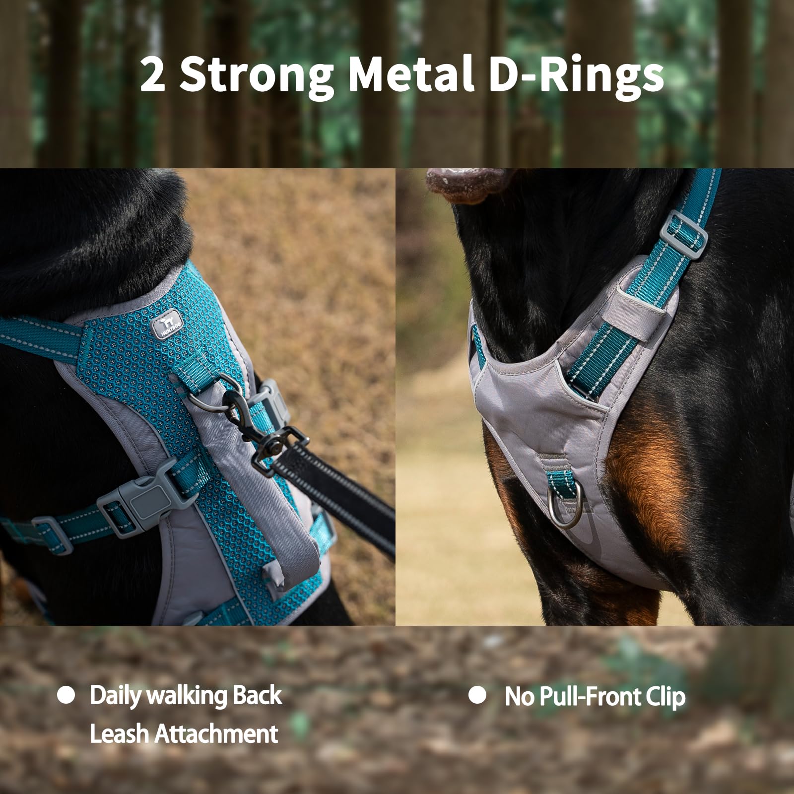 Huntboo back leash clip option lets you tow or guide calmly.