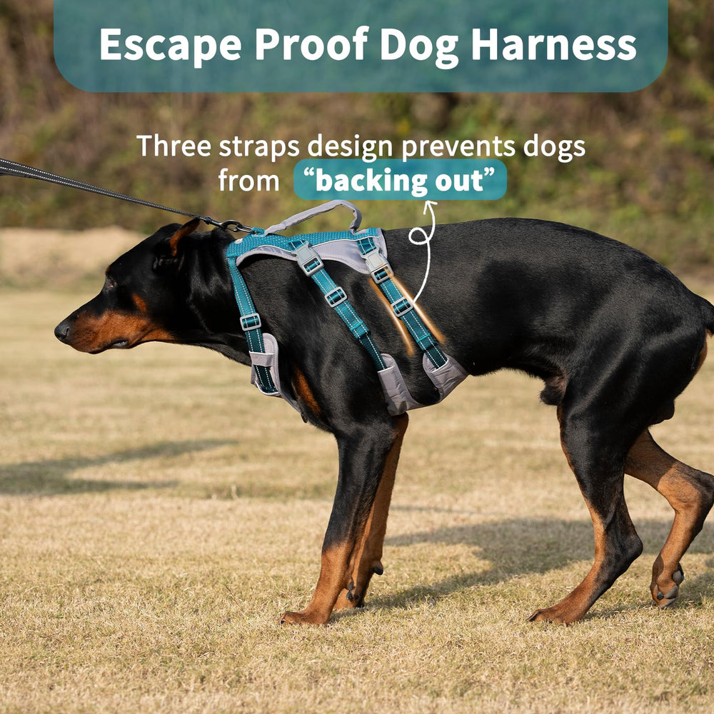 Huntboo teal escape-proof dog harness with multiple straps prevents escapes securely.