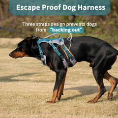 Huntboo teal escape-proof dog harness with multiple straps prevents escapes securely.
