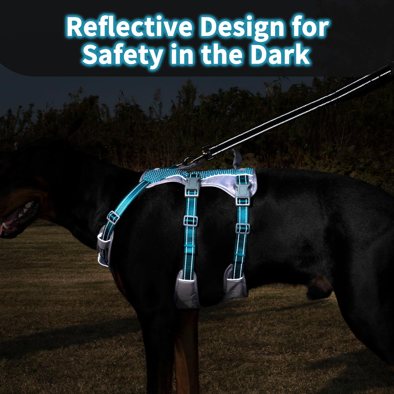 Huntboo reflective dog harness with teal padded handle improves control and support during training.