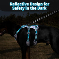 Huntboo reflective dog harness with teal padded handle improves control and support during training.