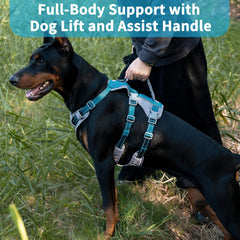 Huntboo six-point adjustable harness teal delivers customized fit for growing dogs.