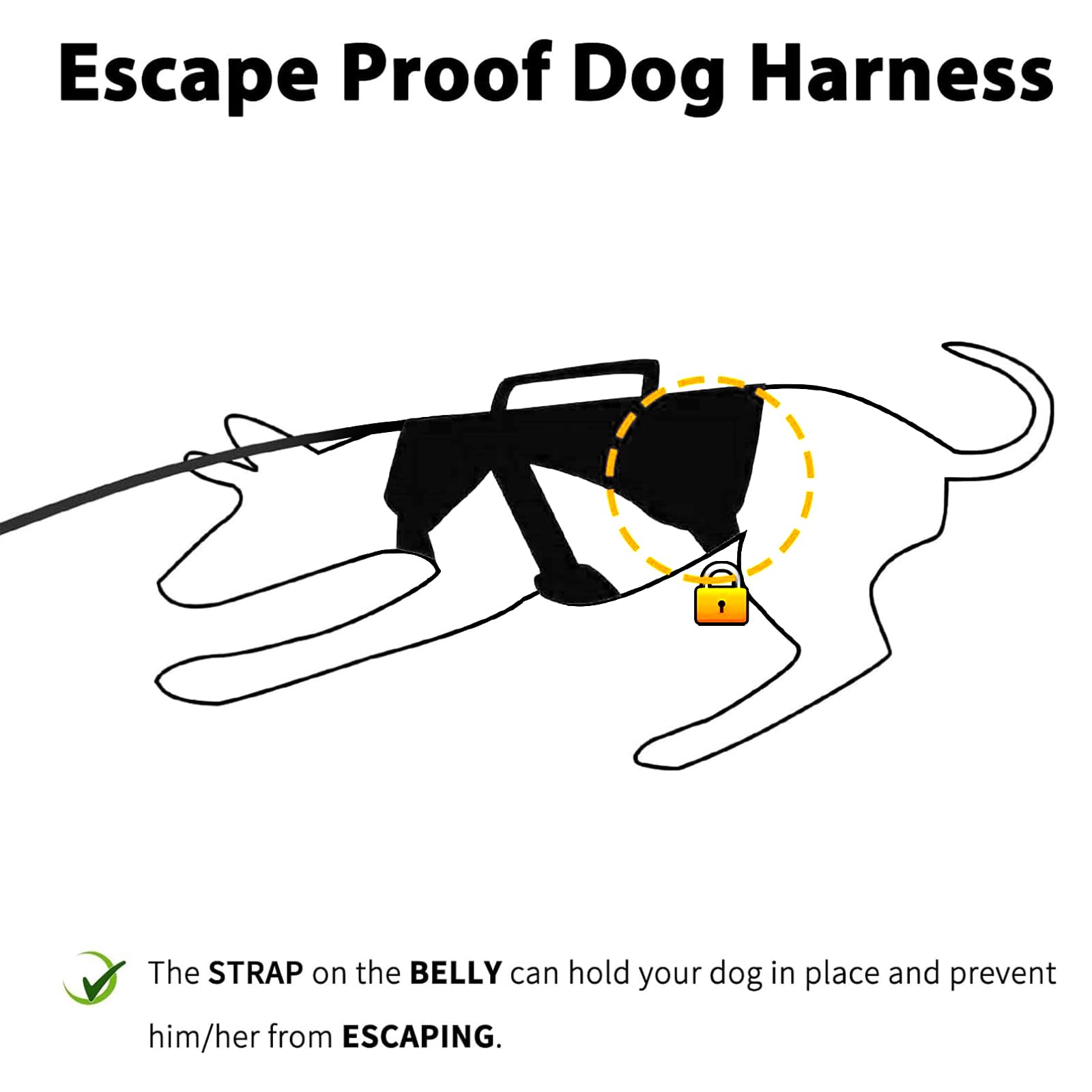 Huntboo reflective strip harness during night walk for visibility