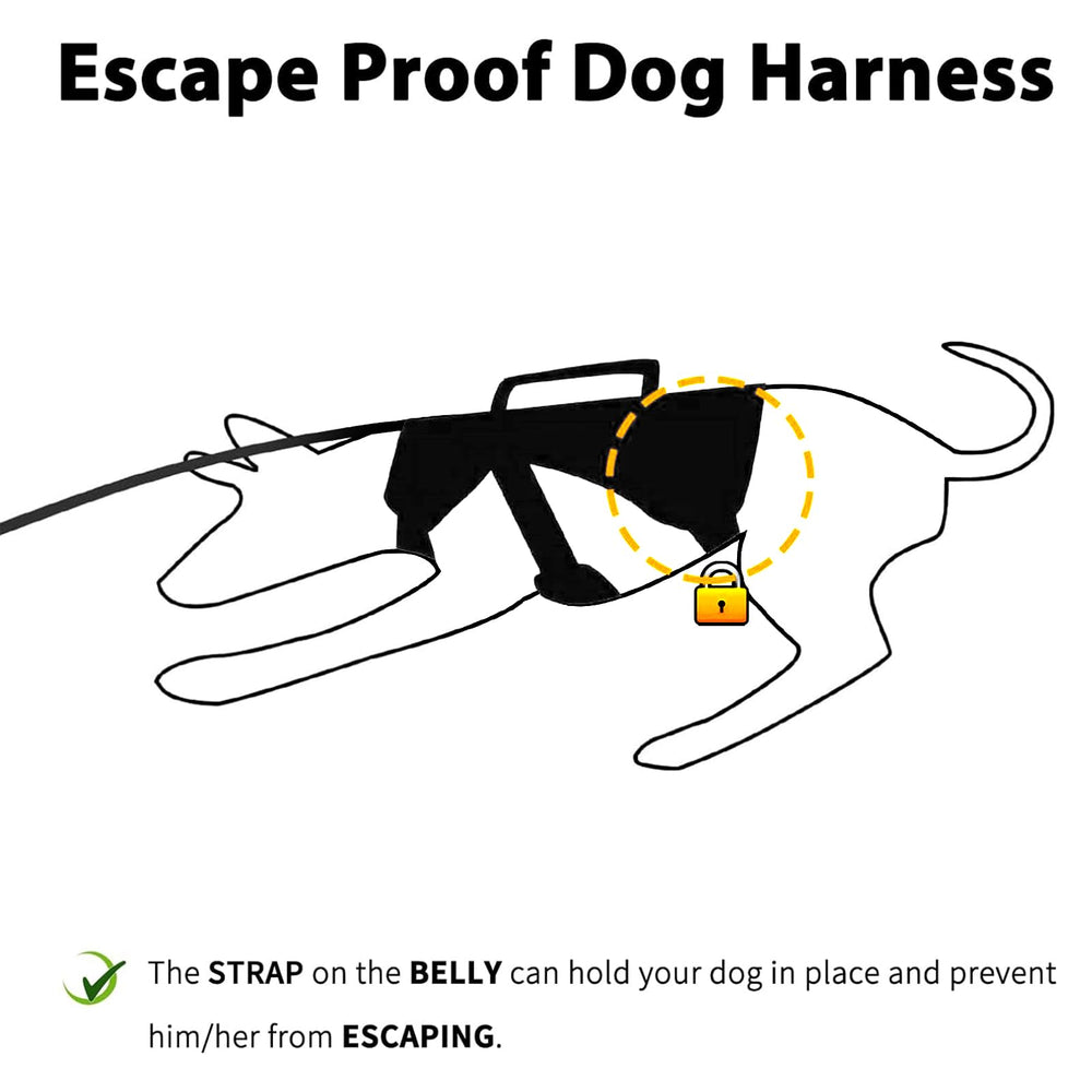 Huntboo reflective strip harness during night walk for visibility