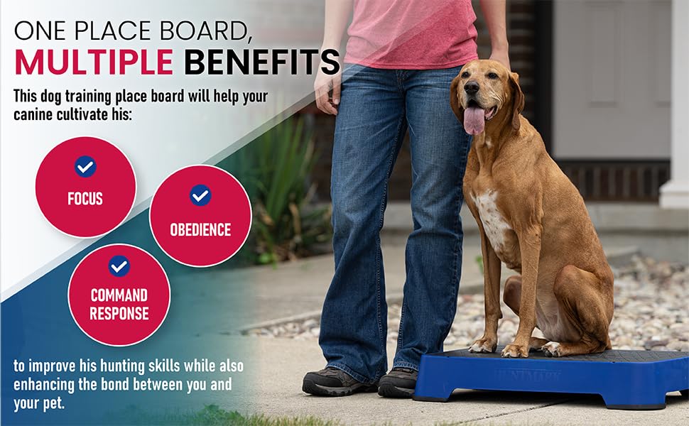HUNTMARK drain-cut-outs simplify cleaning after training sessions