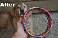 HurriK9 rings in flight during dog fetch demonstrate long-distance throwing.