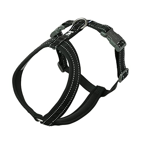 Hurtta Casual ECO Y-Harness Raven on a dog during a daily walk, highlighting comfort and fit for everyday use