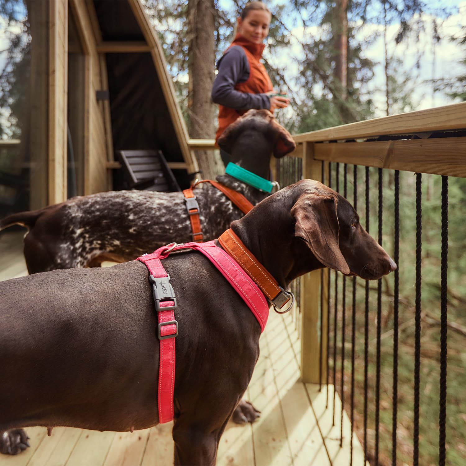 Hurtta Casual ECO Y-Harness Ruby features reflective elements for safer night-time sessions.