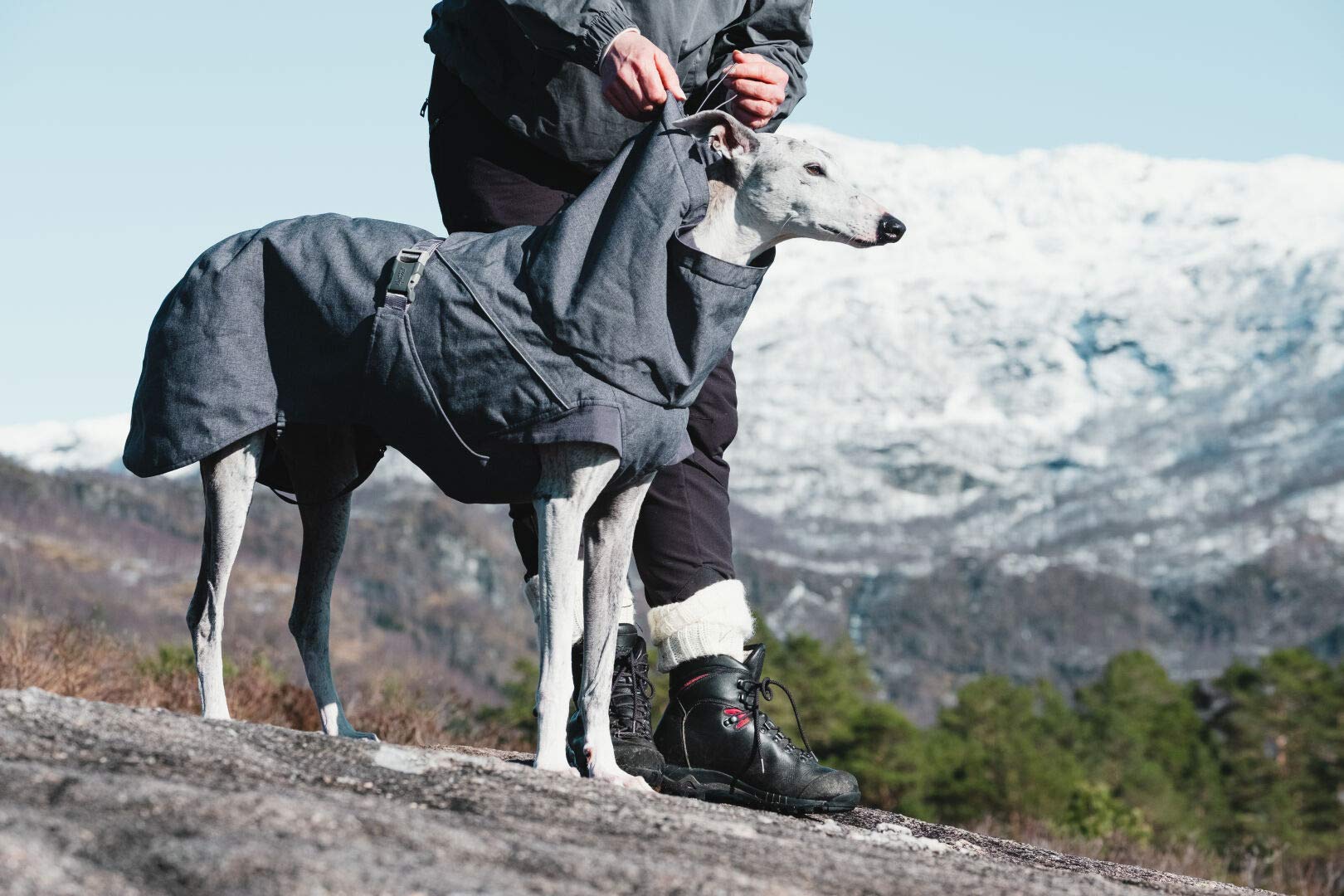 Hurtta Expedition Parka back view shows full-body coverage and mobility.