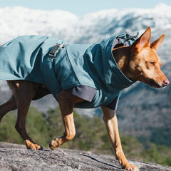 Hurtta Expedition Parka Bilberry 22in back view demonstrates full mobility during play