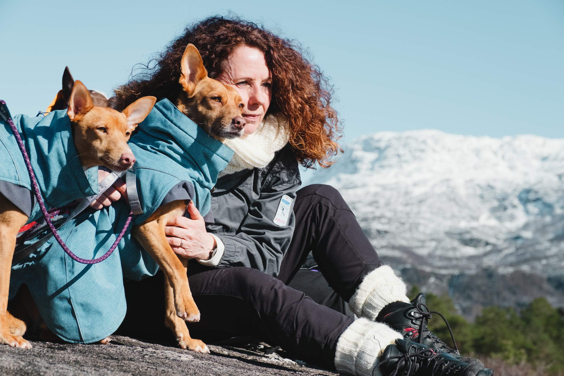 Hurtta Expedition Parka Bilberry closeup fabric detail highlights quality for winter wear