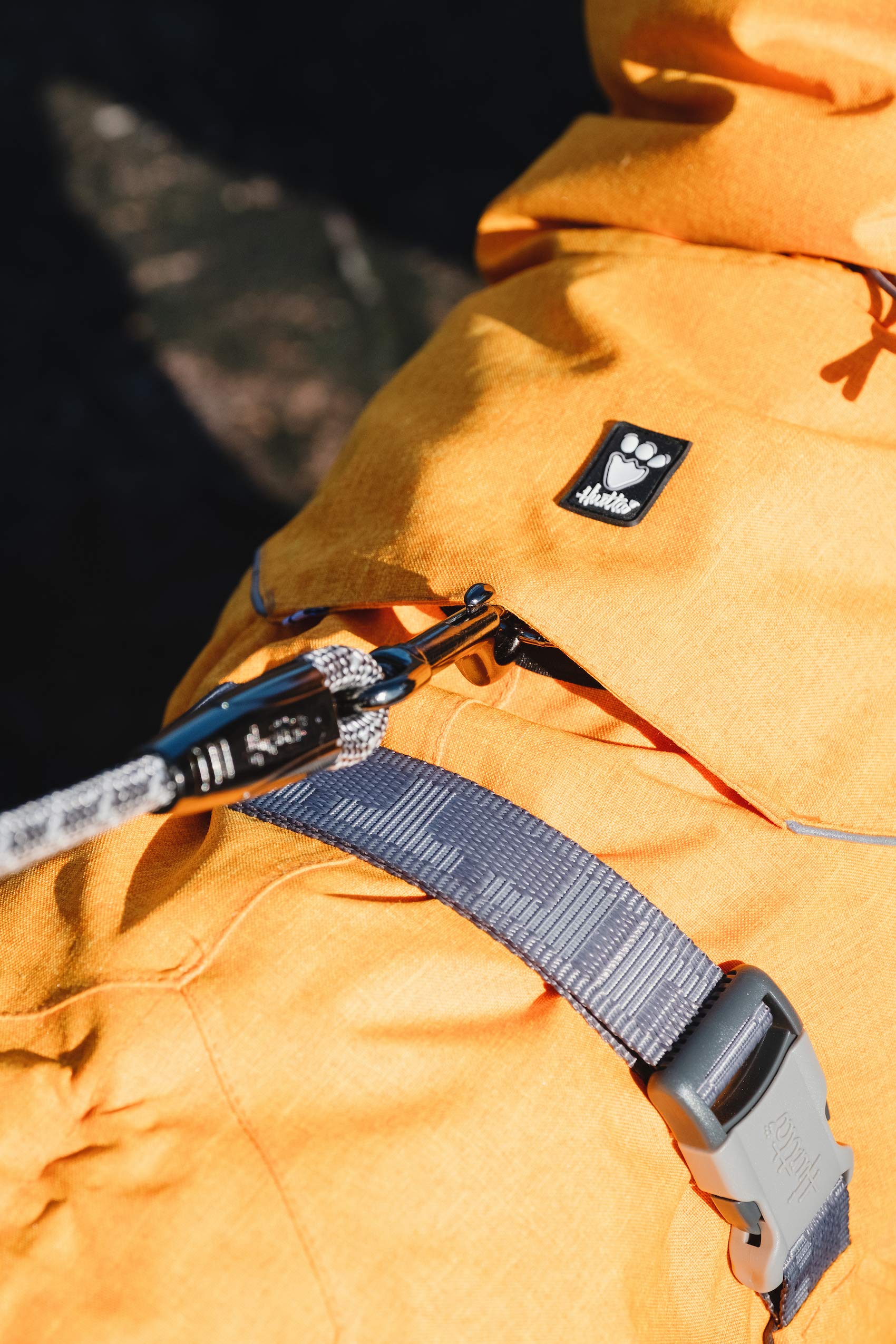 Hurtta Expedition Parka blackberry dog enjoying winter activity with this coat