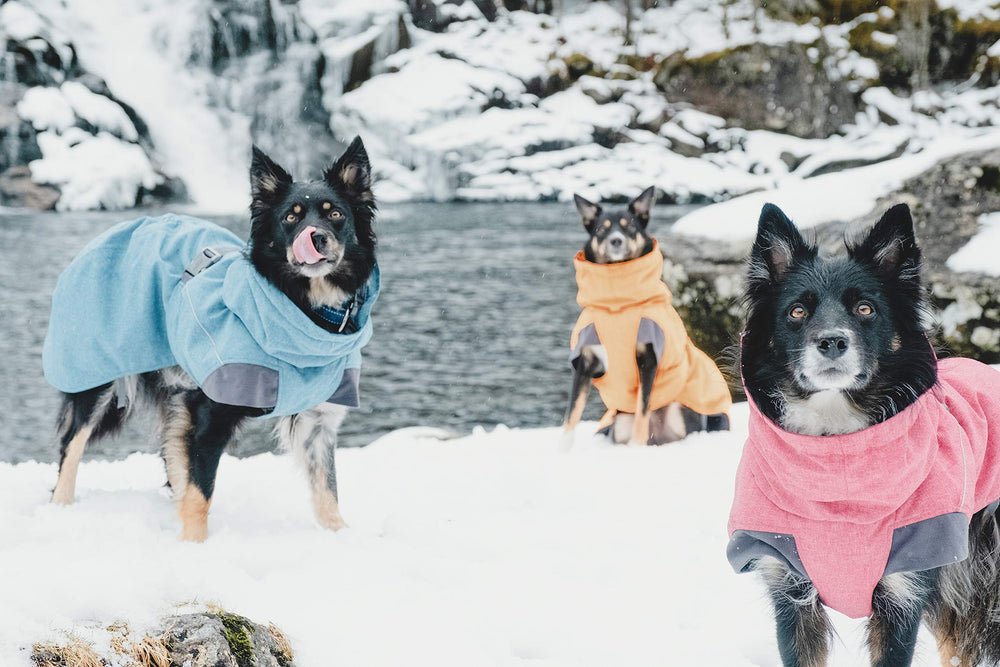 Hurtta Expedition Parka Buckthorn wrap-on design supports comfort for dogs with less undercoat.