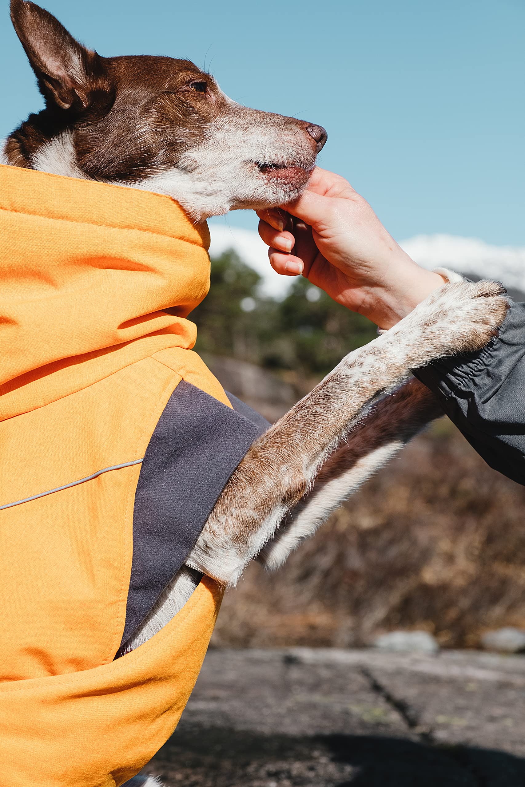 Hurtta Expedition Parka Buckthorn winter-walk scene shows durable warmth for cold adventures.