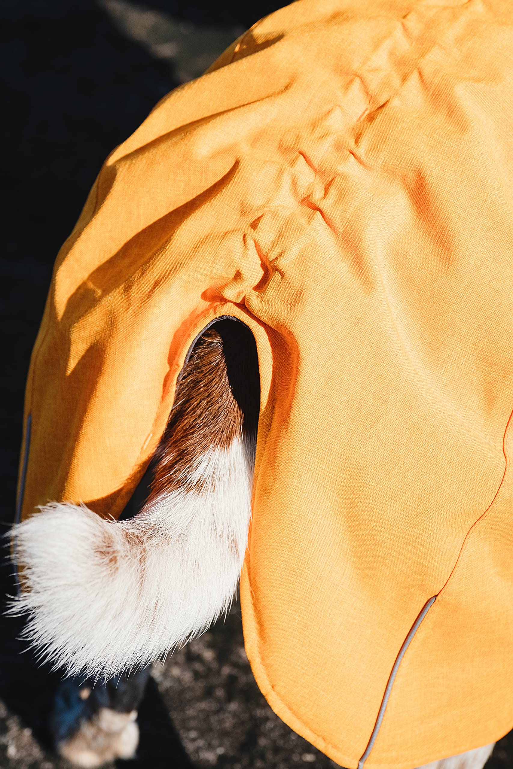 Hurtta Expedition Parka Buckthorn size chart helps find the right back length.