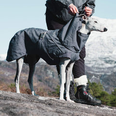 Hurtta Expedition Parka dog back view, full-body coverage for winter outings.