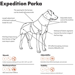 Hurtta Expedition Parka dog side view, freedom of movement during play.