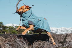 Hurtta Expedition Parka worn by a dog on a winter walk for warmth and protection