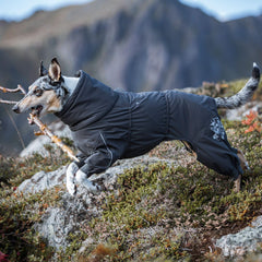 Hurtta Extreme Overall hooded design provides wind and snow protection during outings.