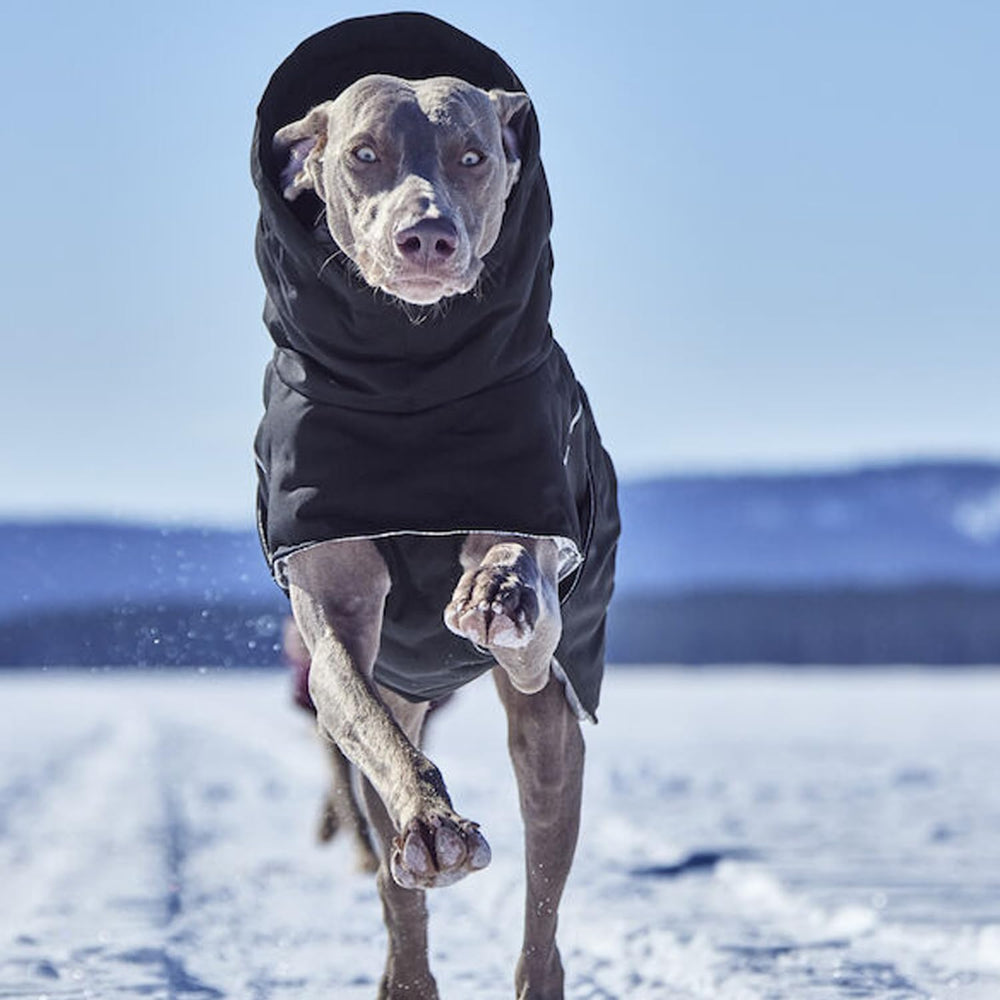 Hurtta Extreme Warmer ECO Raven coat with adjustable back length and waist for fit.