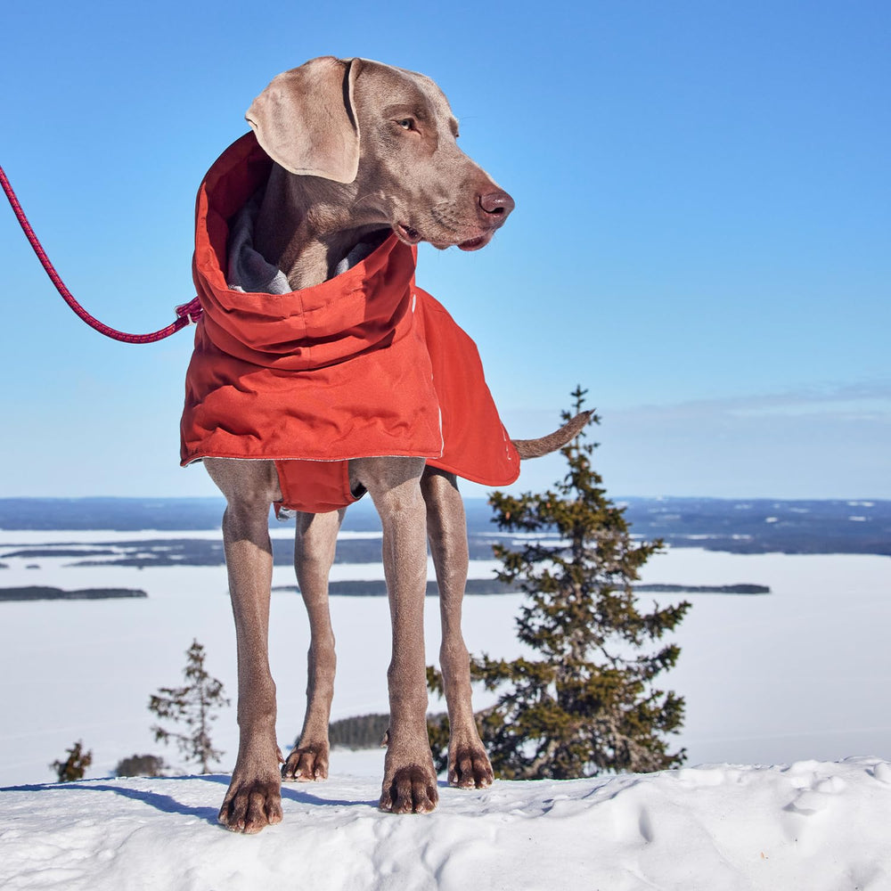 Hurtta Extreme Warmer III ECO Cinnamon, size chart view, back length helps choose the right fit.