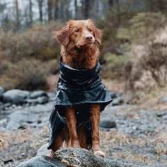 Hurtta Monsoon Coat back view showing reflective piping for nighttime visibility