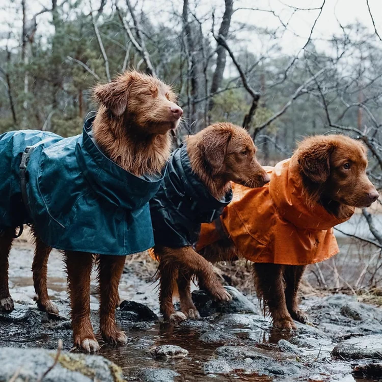 Hurtta Monsoon Coat belly-flap design keeps the coat secure during active play.
