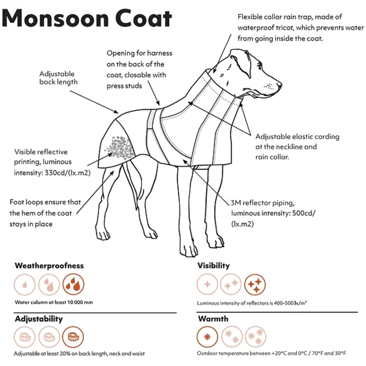 Hurtta Monsoon Coat with belly flap demonstrates secure fit during playful walks