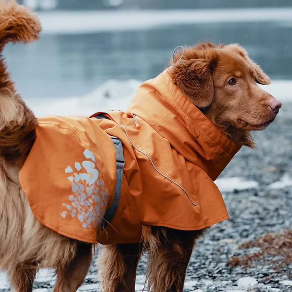 Hurtta Monsoon Coat Buckthorn back view highlights reflective details for evening strolls.
