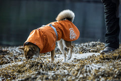 Hurtta Monsoon Coat back with 3M reflective piping for night safety