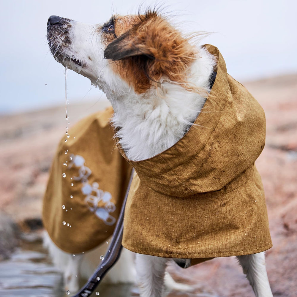 Hurtta Monsoon Coat II ECO belly-flap in motion keeps coat in place on playful runs.