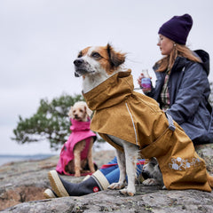 Hurtta Monsoon Coat II ECO desert collar-edge waterproof detail shields neck from rain.