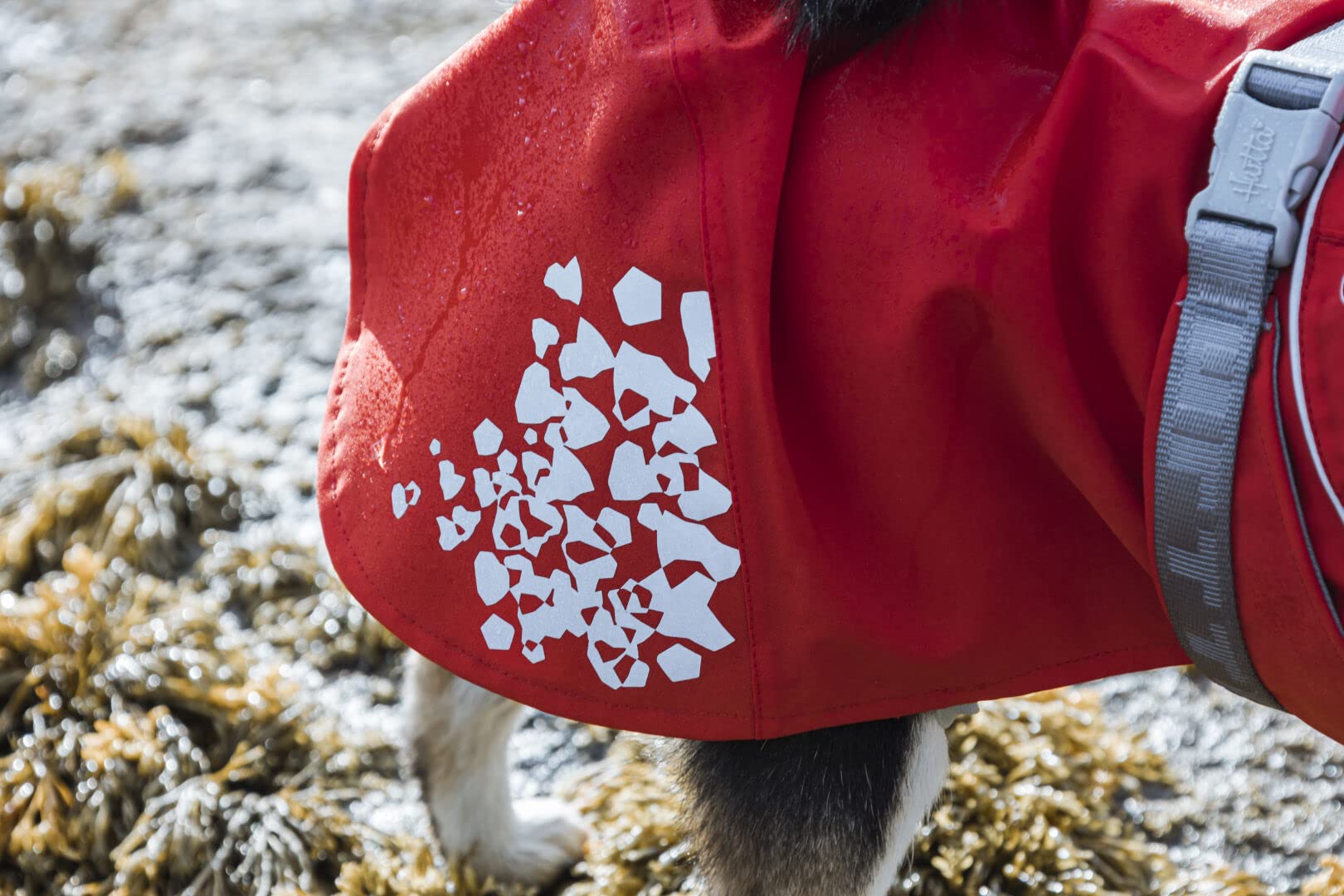 Hurtta Monsoon Coat ECO fabric closeup in rosehip shows durable material.