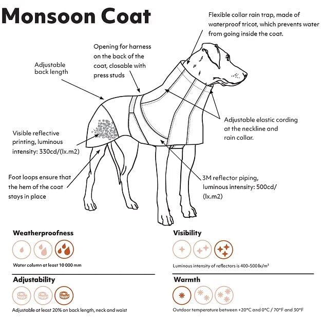 Hurtta Monsoon Coat ECO rosehip back view highlights reflective safety details.