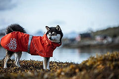Hurtta Monsoon Coat Eco back view highlights reflective details for nighttime visibility
