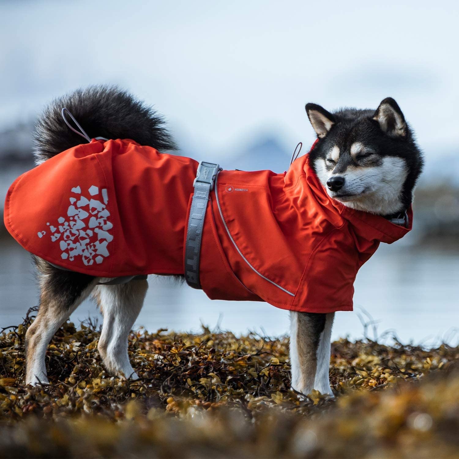 Hurtta Monsoon Coat ECO belly flap keeps coat secure during play