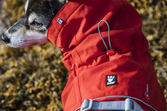 Hurtta Monsoon Coat Eco back piping enhances visibility during evening walks