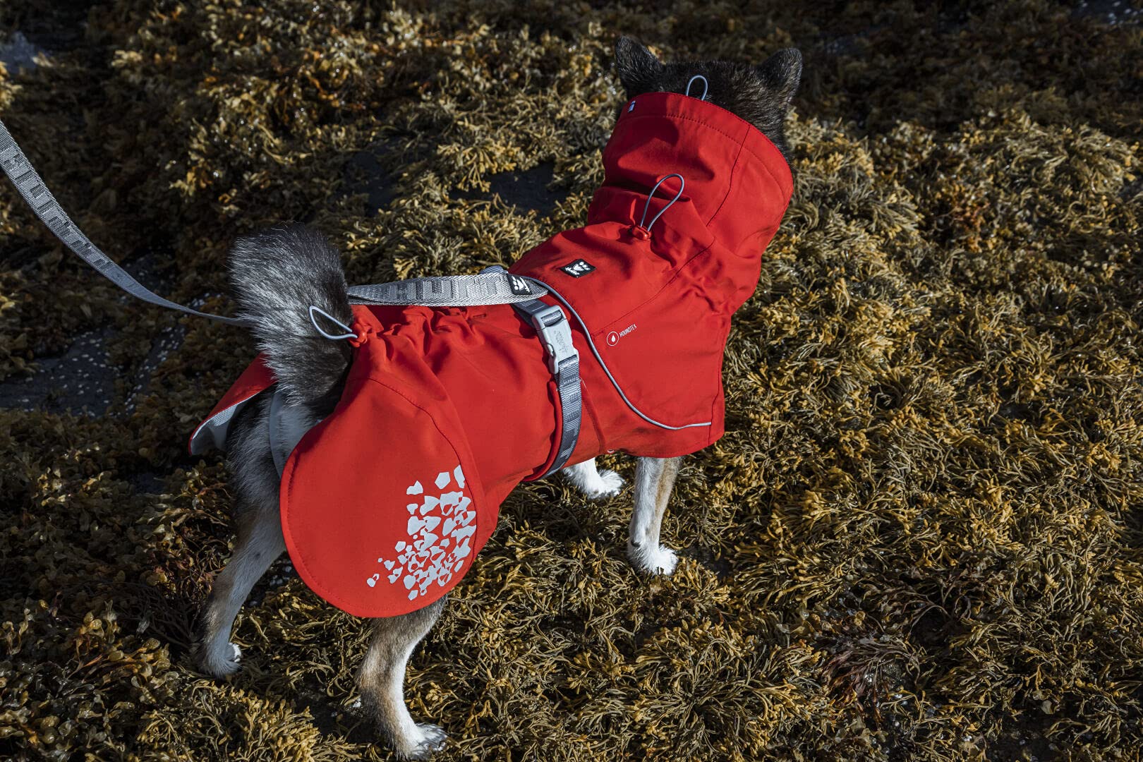 Hurtta Monsoon Coat ECO side profile highlights the wide belly flap for secure wear