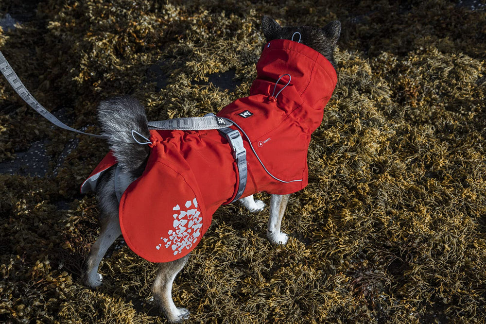 Hurtta Monsoon Coat ECO side profile highlights the wide belly flap for secure wear