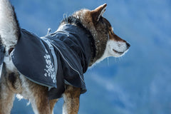 Hurtta Monsoon Coat neck-collar area uses waterproof tricot to prevent neck water intrusion.