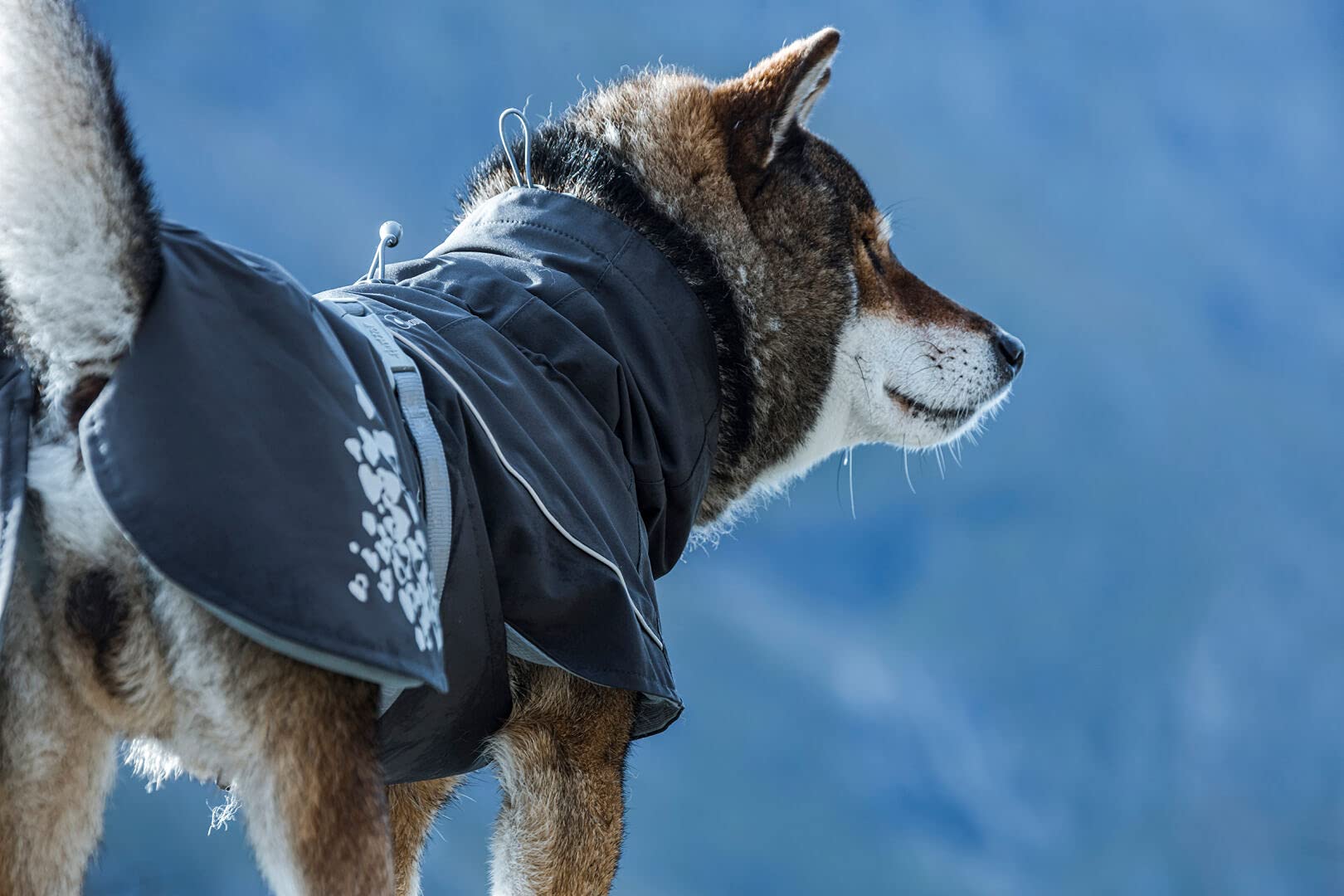 Hurtta rain collar detail on Monsoon Coat protecting the neck area.