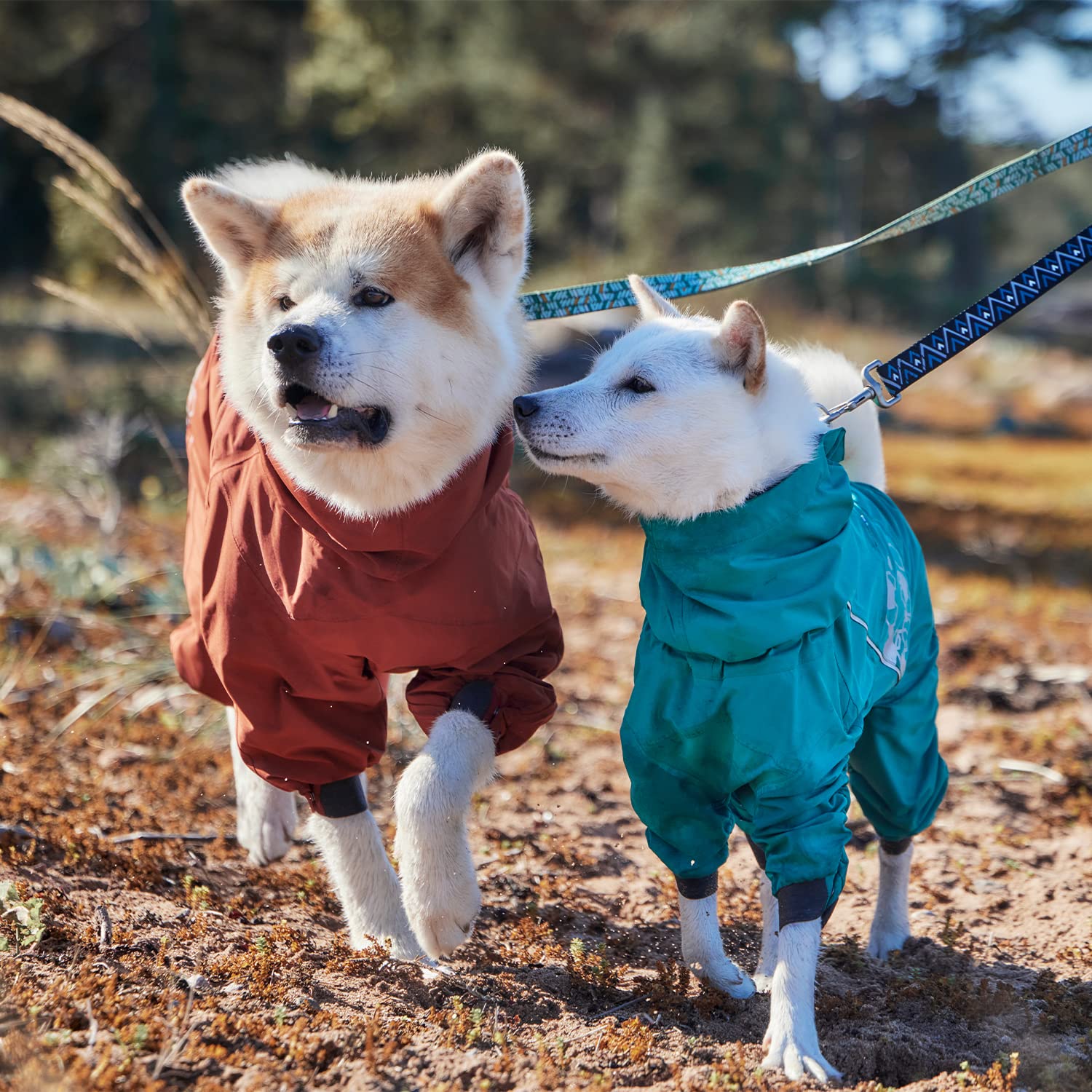 Hurtta Mudventure ECO Overall reflective prints boost visibility during dawn or dusk walks.