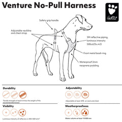 Hurtta Venture No-Pull Harness Bilberry chest buckles highlight easy on-off wear