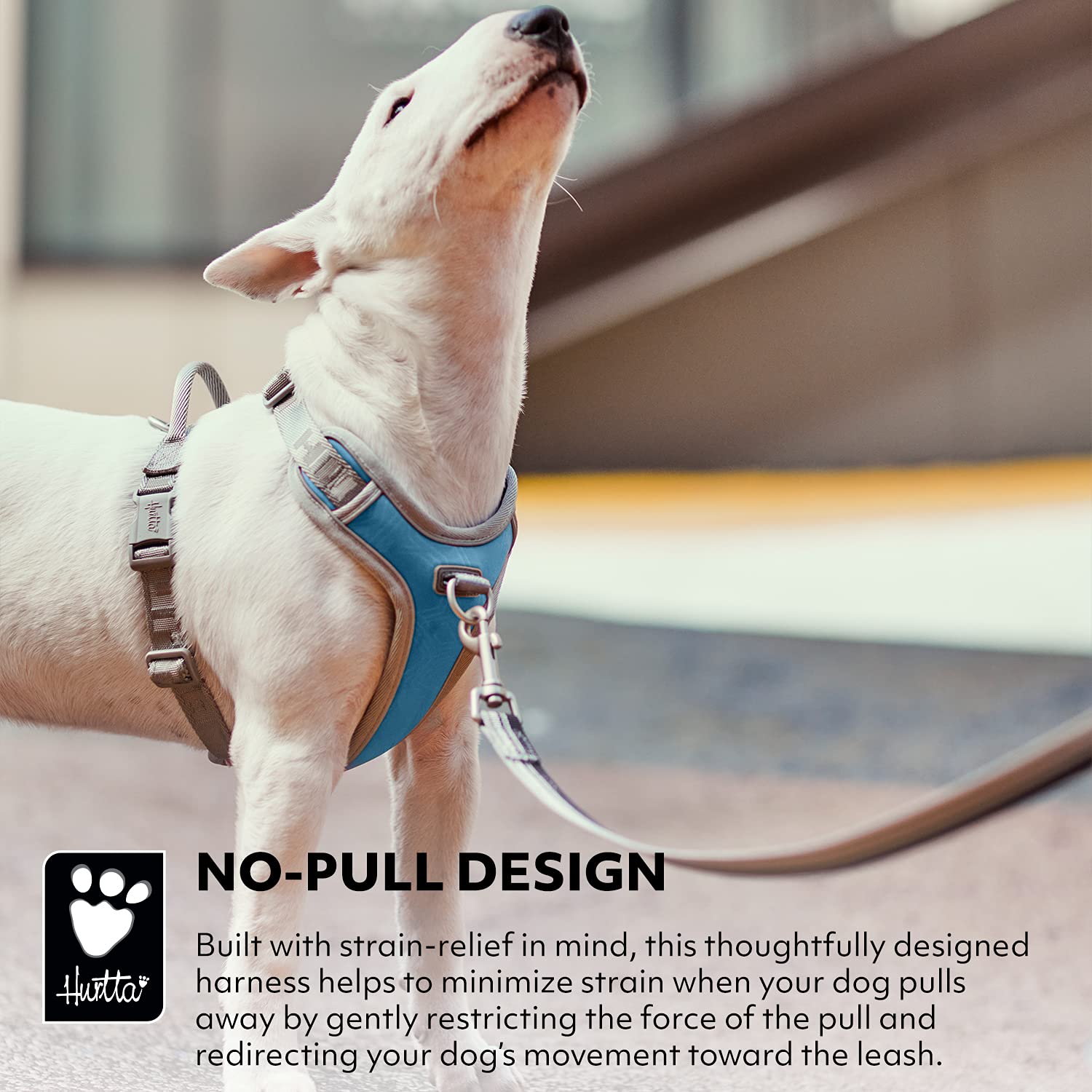 Hurtta Venture No-Pull Harness Bilberry side profile with adjustable neck and chest fit